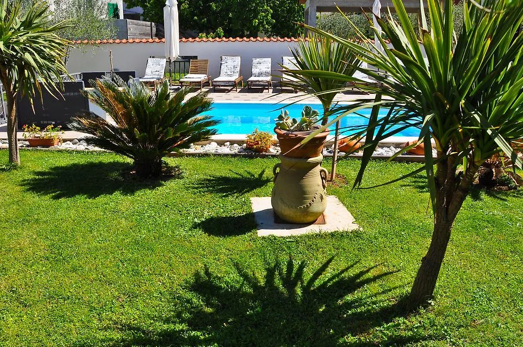 Villa Vanilla With Heated Pool Zadar Appartement